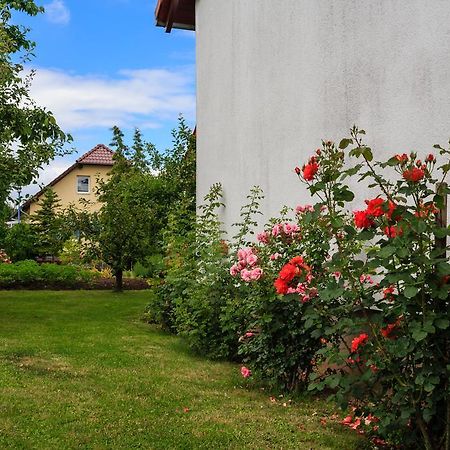 Hotel-Pension Am Rosarium Sangerhausen Exterior foto